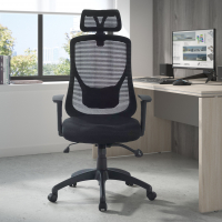 Bureaustoel Lake, verstelbare armleuningen, met hoofdsteun, Mesh bekleding