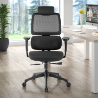 Ergonomische bureaustoel Bjorg, premium model, tweedelig rugkussen