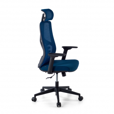 ergonomische bureaustoel blauw quick netstof mesh 3d verstelbare armleuningen lumbale steun hoofdsteun 4