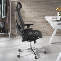 Ergonomische bureaustoel Thunder, premium model, met onderrugsteun