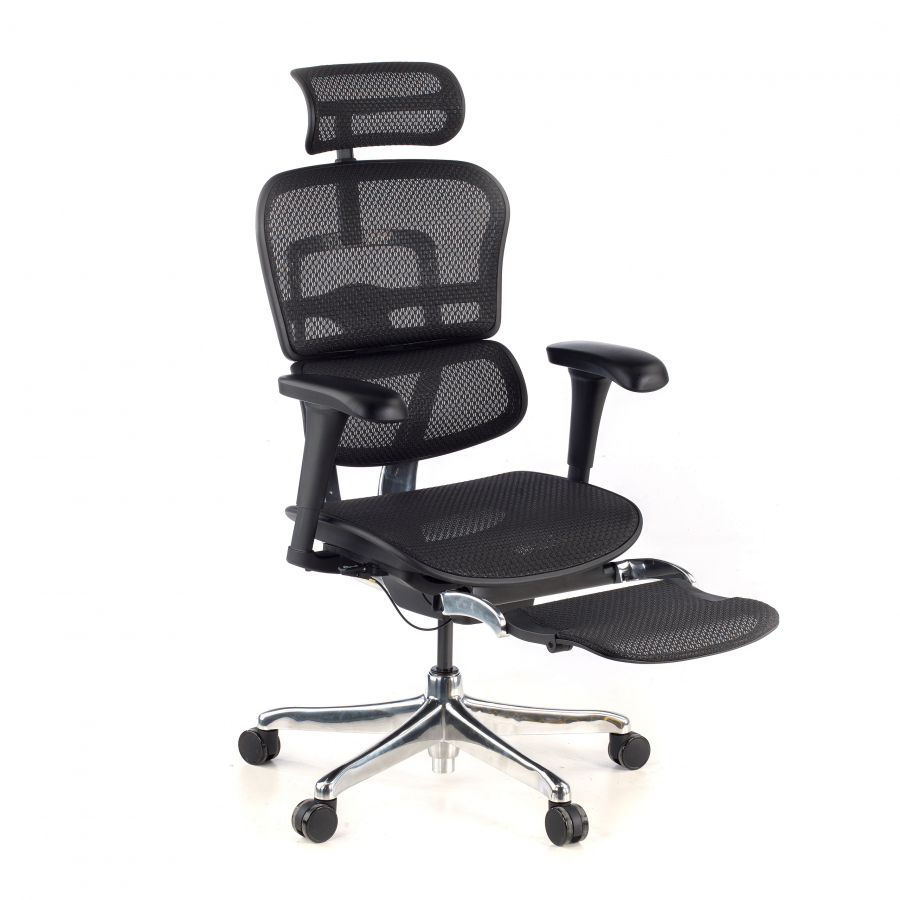 Ergonomische stoel met voetensteun Ergohuman Edition I, premium model
