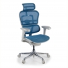 Ergonomische bureaustoel Ergohuman Edition I, luxueus, wit frame