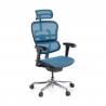 Ergonomische bureaustoel Ergohuman Edition I, luxueus, zwart frame