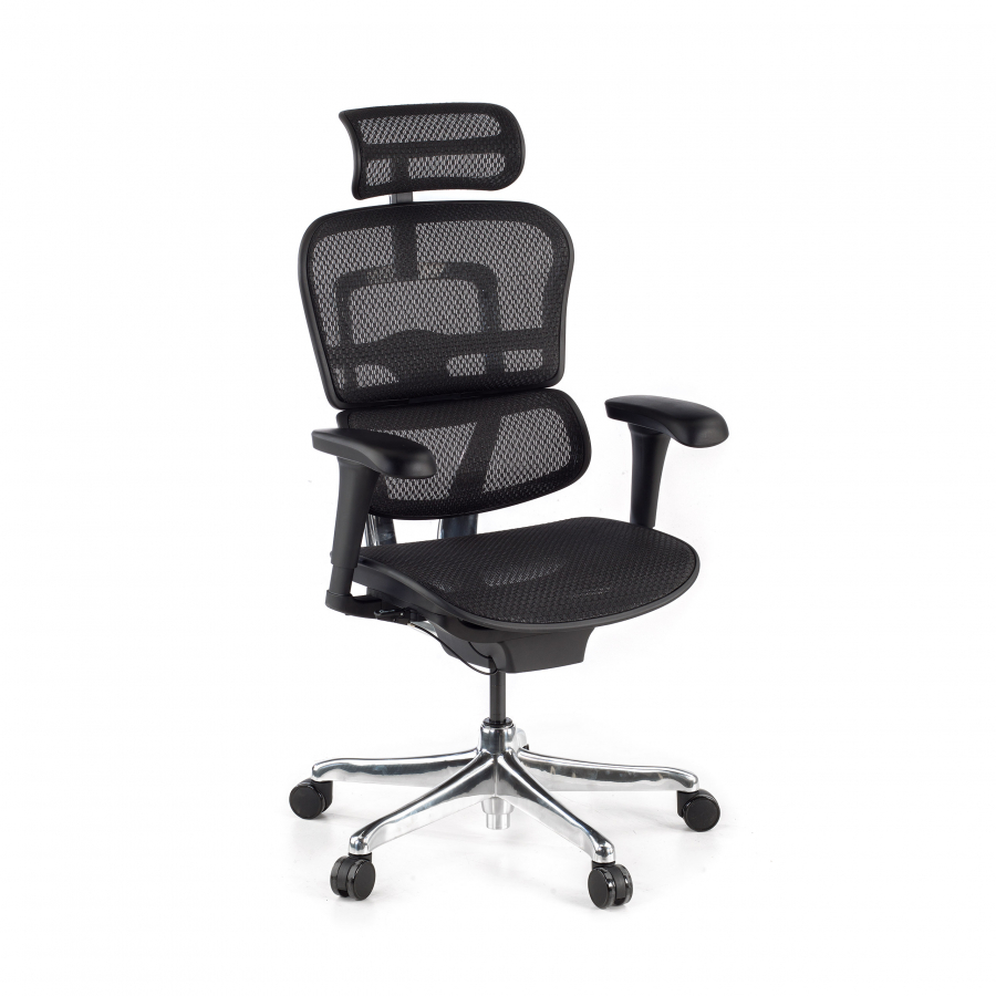 Luxe Ergonomische stoel Ergohuman Edition I, zwart frame