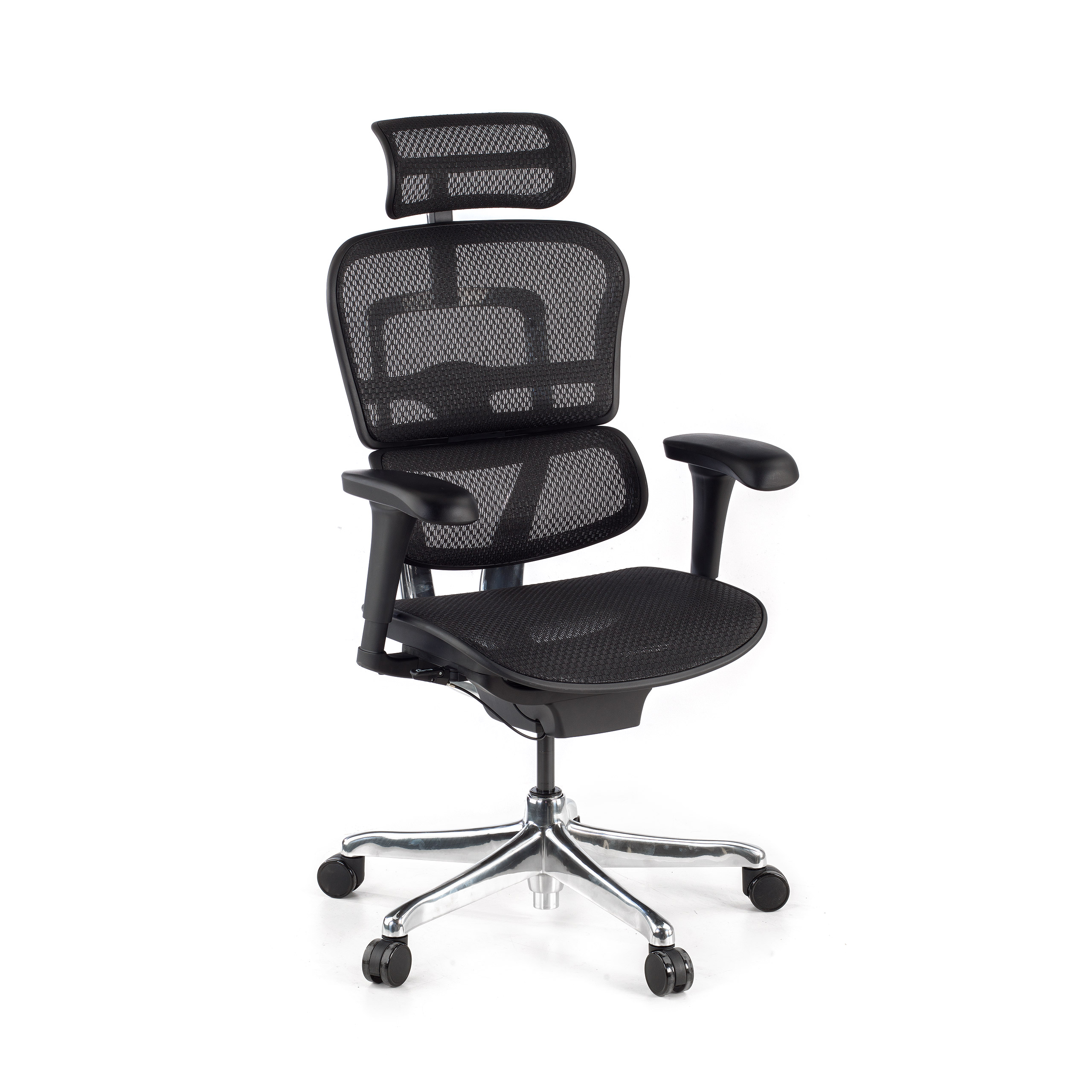 Ergonomische bureaustoel Ergohuman Edition I, luxueus, zwart frame