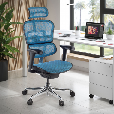ergonomische bureaustoel blauw zwarte structuur net netstof mesh beweegbare armleuningen hoofdsteun 2