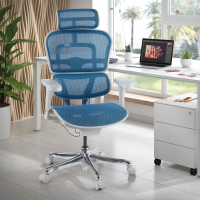 Ergonomische bureaustoel Ergohuman Edition I, luxueus, wit frame