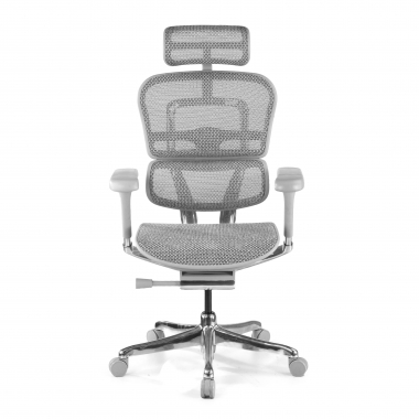 ergonomische bureaustoel wit grijs witte structuur net netstof mesh 5d verstelbare armleuningen hoofdsteun 5