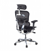 Luxe Ergonomische stoel Ergohuman Elite, zwart frame