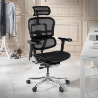 Ergonomische bureaustoel Ergohuman Elite, luxueus, zwart frame