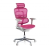 Ergonomische bureaustoel Ergohuman Edition I, luxueus, wit frame