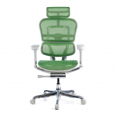ergonomische bureaustoel wit groen witte structuur net netstof mesh 5d verstelbare armleuningen hoofdsteun 3