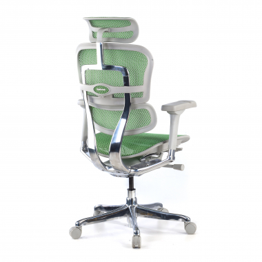 ergonomische bureaustoel wit groen witte structuur net netstof mesh 5d verstelbare armleuningen hoofdsteun 6
