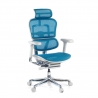 Ergonomische bureaustoel Ergohuman Elite, luxueus, wit frame