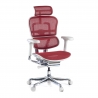 Ergonomische bureaustoel Ergohuman Elite, luxueus, wit frame