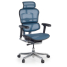 Ergonomische bureaustoel Ergohuman Elite, luxueus, zwart frame