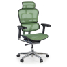 Ergonomische bureaustoel Ergohuman Elite, luxueus, zwart frame