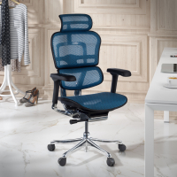 Ergonomische bureaustoel Ergohuman Elite, luxueus, zwart frame