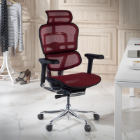 Ergonomische bureaustoel Ergohuman Elite, luxueus, zwart frame