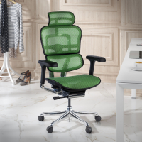 Ergonomische bureaustoel Ergohuman Elite, luxueus, zwart frame