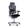 Ergonomische bureaustoel Ergohuman Elite, gestoffeerd, zwart frame