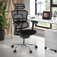 Ergonomische bureaustoel Ergohuman V2, gestoffeerd, zwart frame