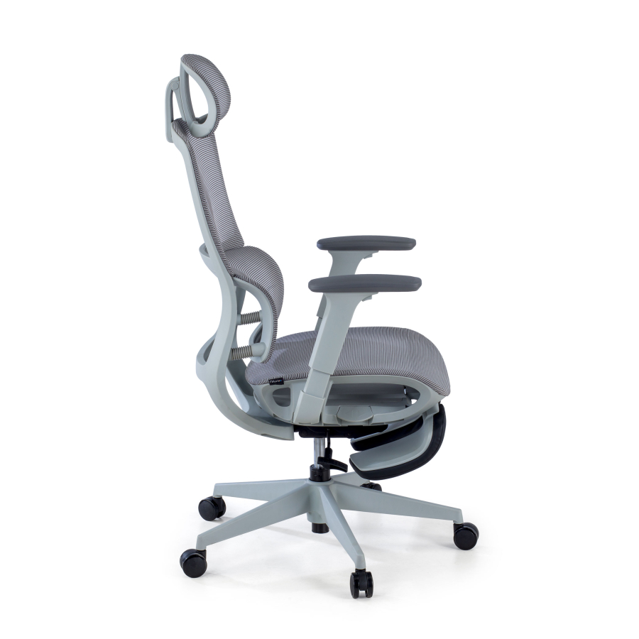 Ergonomische Bureaustoel met voetsteun Balance Pro, 3D-armleuningen