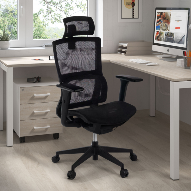 Ergonomische bureaustoel Winter, met onderrugsteun, met hoofdsteun 210652 - (Outlet)