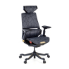 Gamingstoel BloodDragon, Ergonomische