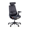 Gamingstoel BloodDragon, Ergonomische