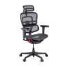 Ergohuman Ultra Gaming Edition Gamingstoel Black Carbon
