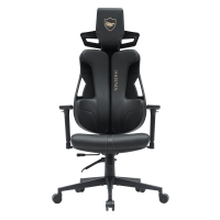 Gamingstoel design Phoenix, ergonomische rugleuning